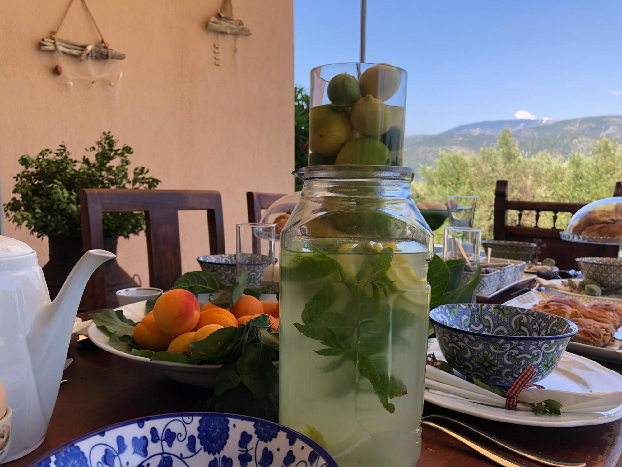 Penelope Dream Pool Villa Μηνιά Εξωτερικό φωτογραφία